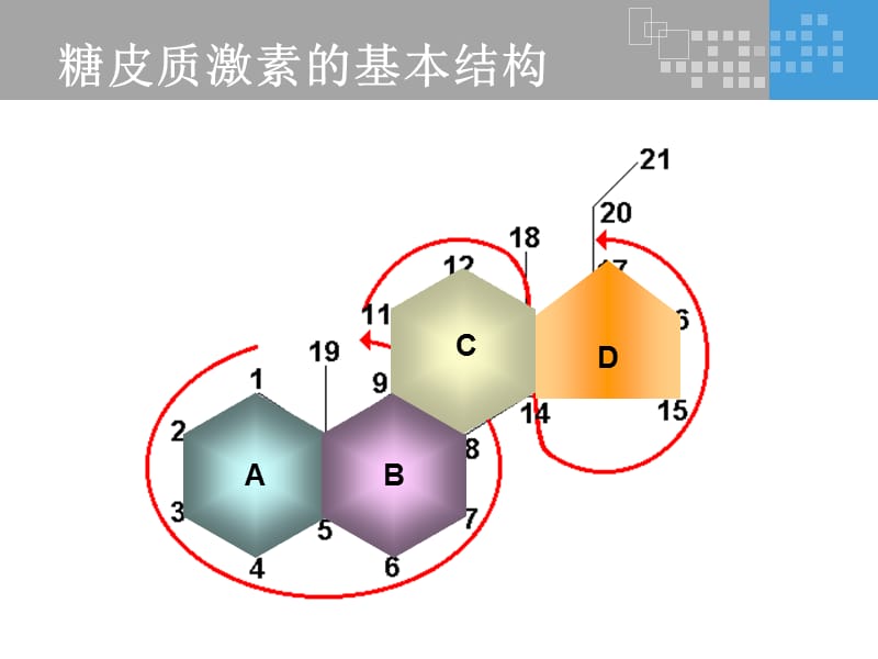氟轻松是如何发挥其药理作用的？